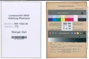 Entnazifizierung Karl Strenger , geb. 30.12.1905 (Techn.Angestellter)