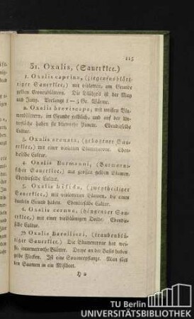 31. Oxalis (Sauerklee.)