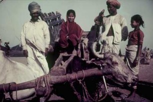 Reisefotos Indien. Gruppenbild mit Ochsenkarren