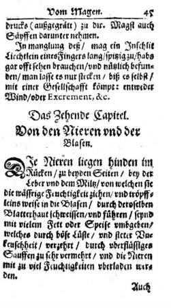10. Kap. Von den Nieren und Blasen.