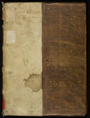 Gültbuch (Einkünfteverzeichnis)) von Handschuheim, lat. und dt. : Hdschr. 217