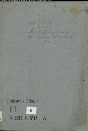 Zivilstandsregister der evangelischen Gemeinde Petershagen, Kreis Minden (GHT 1811) (Gemeinde: Evangelische Gemeinden Petershagen)