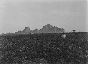 Taka-Berge : Landwirtschaftliche Anbaufläche nahe der Taka-Berge bei Kassala