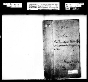 Mutter Gottes Gegentrum bei Berggießhübel