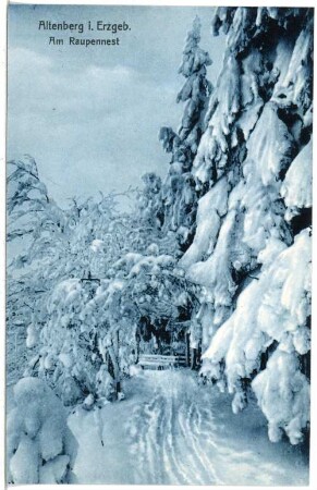 Altenberg. Winteraufnahme - Am Raupennest