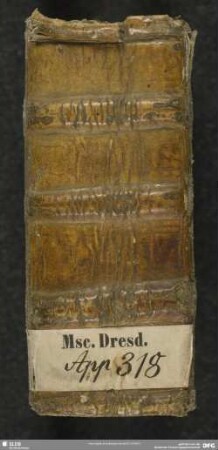 Gebetbuch - Mscr.Dresd.App.318 : von versch. Hdn.