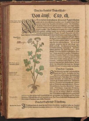 Von Äniß, Cap. CLI