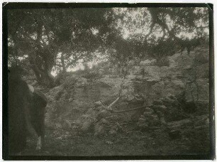 arab'eu Karmel