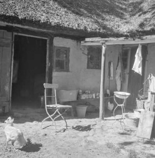 Hof eines reetgedeckten Gehöfts mit pickendem Hahn