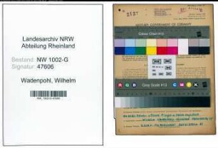 Entnazifizierung Wilhelm Wadenpohl, geb. 10.05.1909 (Schreiner)
