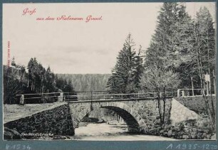 Die Spechtritzbrücke im Rabenauer Grund