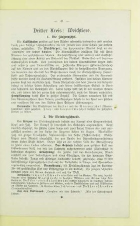 Dritter Kreis: Weichtiere