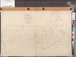 Urkarte der Flur 4 der Katastergemeinde Borgholzhausen-Land (Untergemeinde Holtfeld)