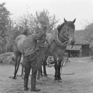 Fließdorf Leipe. Pferdegespann. : Groble w Lipjem. Konjacy zapřah.