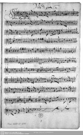 Viola di gamba 2.