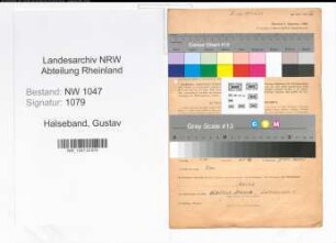 Entnazifizierung Gustav Halseband , geb. 04.04.1892 (Versandleiter)