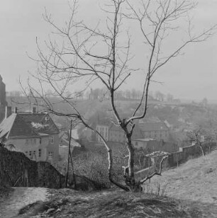 Bautzen von Norden : Bautzen. Blick auf die Stadt zum Protschenberg