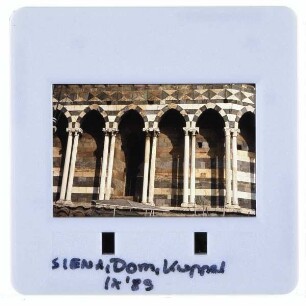 Siena, Dom : Kuppel