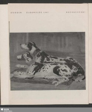 Doggen