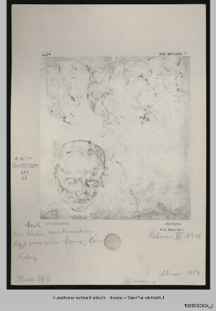Studien nach einem Venustorso, dem Kopf eines alten Mannes und zu einem Bein - Studien nach einem Venustorso, dem Kopf eines alten Mannes u. Beinstudie