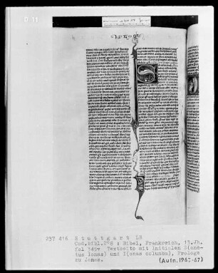 Bibel — Initialen S(anctus Ionas) und I(onas columba), Folio 345verso