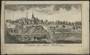 Ansicht von Radeberg, Kupferstich, um 1770 : Schlitterlau, Friedrich Gottlob : Prospect der Stadt Radeberg / [Zeichner u. Stecher: Friedrich Gottlob Schlitterlau]. - [Dresden] , [um 1770]. - 1 Kunstbl. : Kupferst. ; 25 x 13 cm