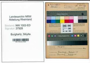 Entnazifizierung Sibylla Burghartz, geb. 03.06.1886 (Lehrerin)