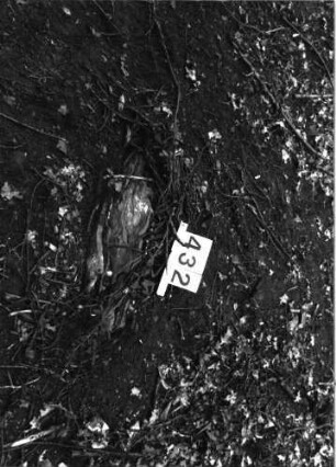 Grabstein 432 (Index: 99897475) Beschreibung: Fragment: Grabstein 432