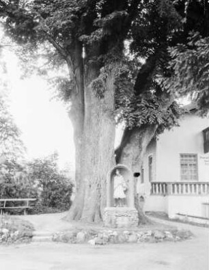 Prien am Chiemsee, Dampfmolkerei