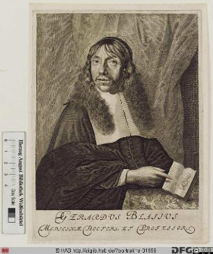 Bildnis Gerardus Blasius (eig. Blaes)