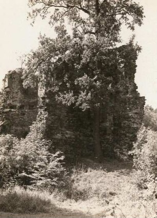 Oschatz. Wüstes Schloss Osterland, ehemalige Jagdpfalz. Südlicher Treppenturm von Osten