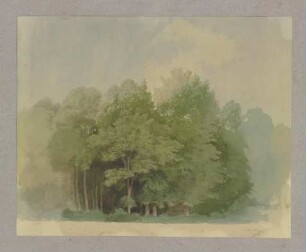 Waldstück