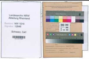 Entnazifizierung Carl Schwarz , geb. 25.04.1873 (Sparkassendirektor)