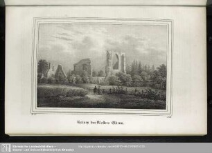 Ruinen des Klosters Eldena