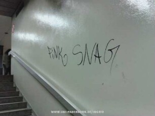 FiNK SNAG