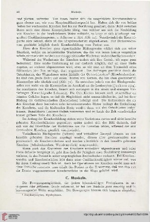 C. Muskeln