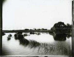 Uferlandschaft an der Ostsee