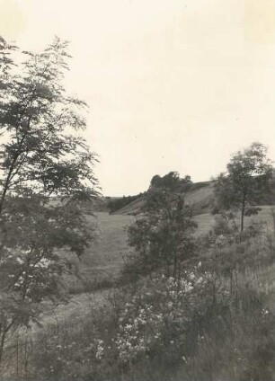 Lommatzscher Pflege. Landschaft des Ketzerbachtales oberhalb Schieritz. Botanisch wertvolle geschützte Talhänge