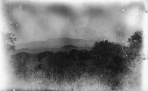 Landschaft : Blick über Baumwipfel auf die Landschaft Maungus und die Berge im Hintergrund