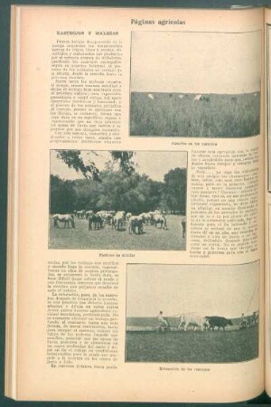 Páginas agrícolas : Rastrojos y malezas