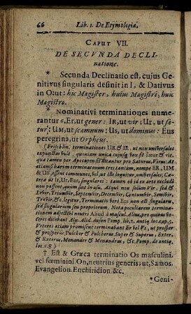 Caput VII. De Secunda Declinatione.