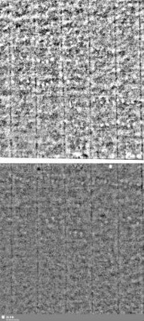 Lilienschild + IESV / LW = Bd.1, S.19/20+31/32