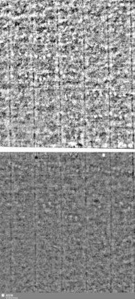 Lilienschild + IESV / LW = Bd.1, S.19/20+31/32
