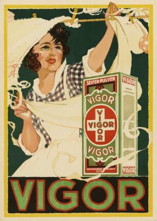Vigor Seifenpulver