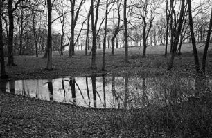 Blumberg