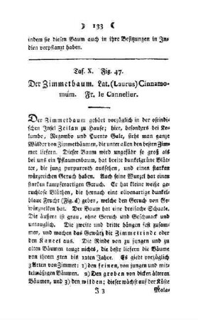 ¬Der¬ Zimmerbaum : Taf. X, Fig. 47