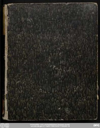 Wahrhaffte Nachricht Von dem unschuldigen Kinder-Morde eines Knäbleins, Welchen Maria Louysa Papin, Am 18. Jun. auf der Sand-Gasse begangen, Und deßwegen am 13. Sept. dieses 1743sten Jahrs auf dem Marckte zu Leipzig enthauptet worden