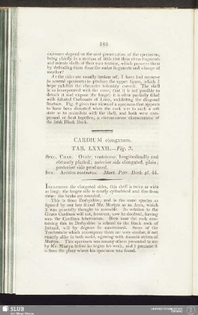Cardium elongatum. Tab. LXXXII. - Fig. 3