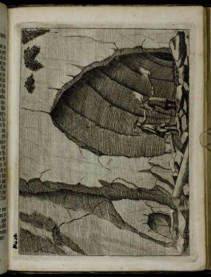 No. 26.