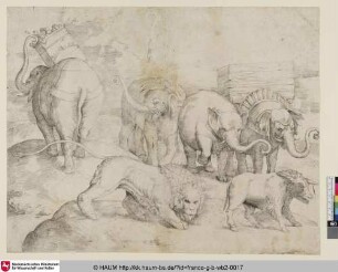 [Trois éléphans dont l'un chargé d'une grande caisse; Four Elephants, a Lion and a Wild Boar; Vier Elefanten, Lasten tragend im Hintergrund, ein Löwe und ein Wildschwein vorne]